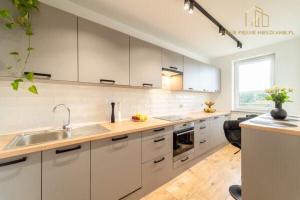 ul. Dzika pokój dla studenta do wynajęcia