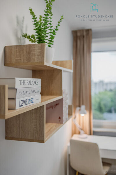 Wooden wall shelf with a potted green plant and stacked books, in a tidy, sunlit room near a window.