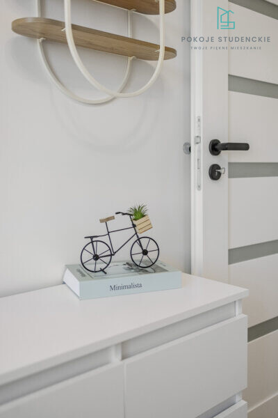 Decorative black bicycle with a small wooden planter in the basket atop a white dresser, resting on a book titled Minimalista.